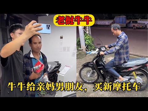 东契奇八次,绝杀与飞人,并肩,世界杯小组赛,2026世界杯,小组赛赛程,比赛对阵,赛事分析